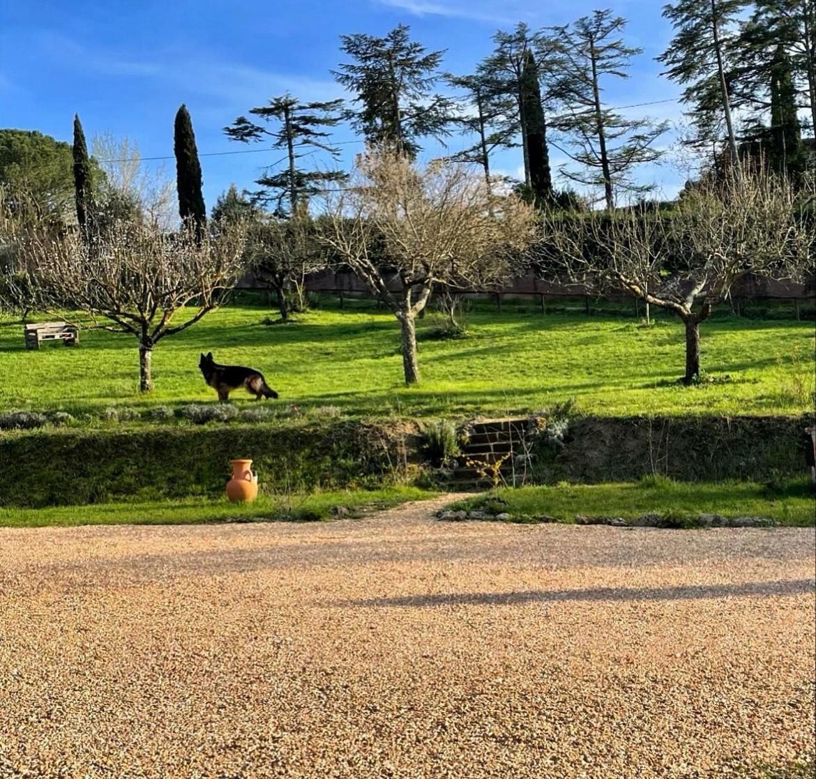 Agriturismo La Corte Del Sole 시에나 외부 사진