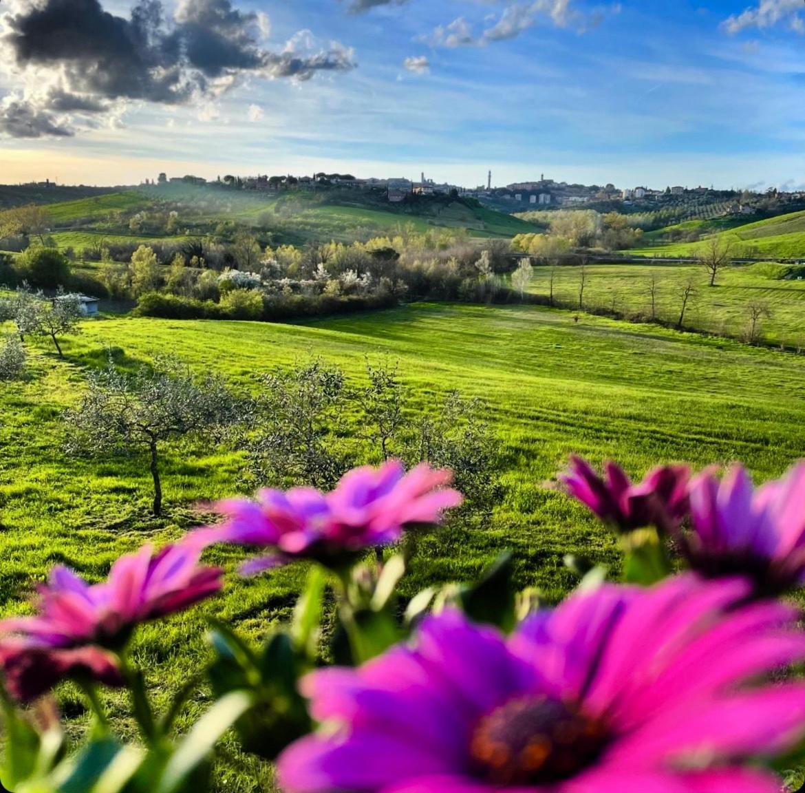 Agriturismo La Corte Del Sole 시에나 외부 사진