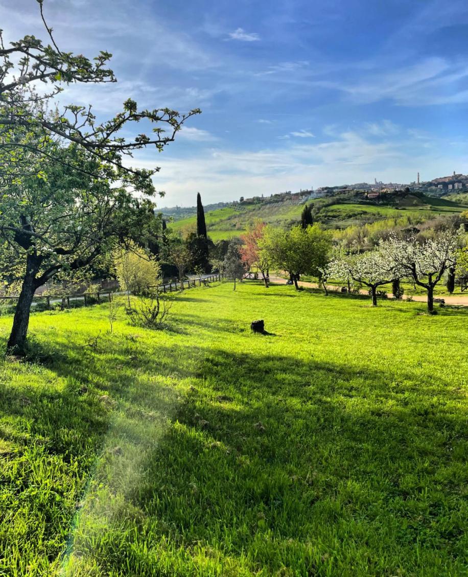 Agriturismo La Corte Del Sole 시에나 외부 사진
