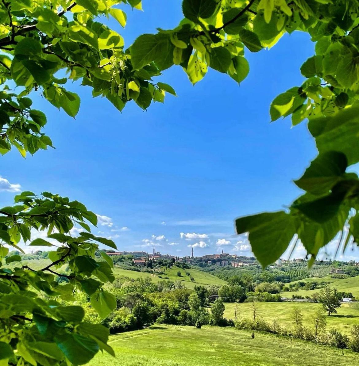 Agriturismo La Corte Del Sole 시에나 외부 사진
