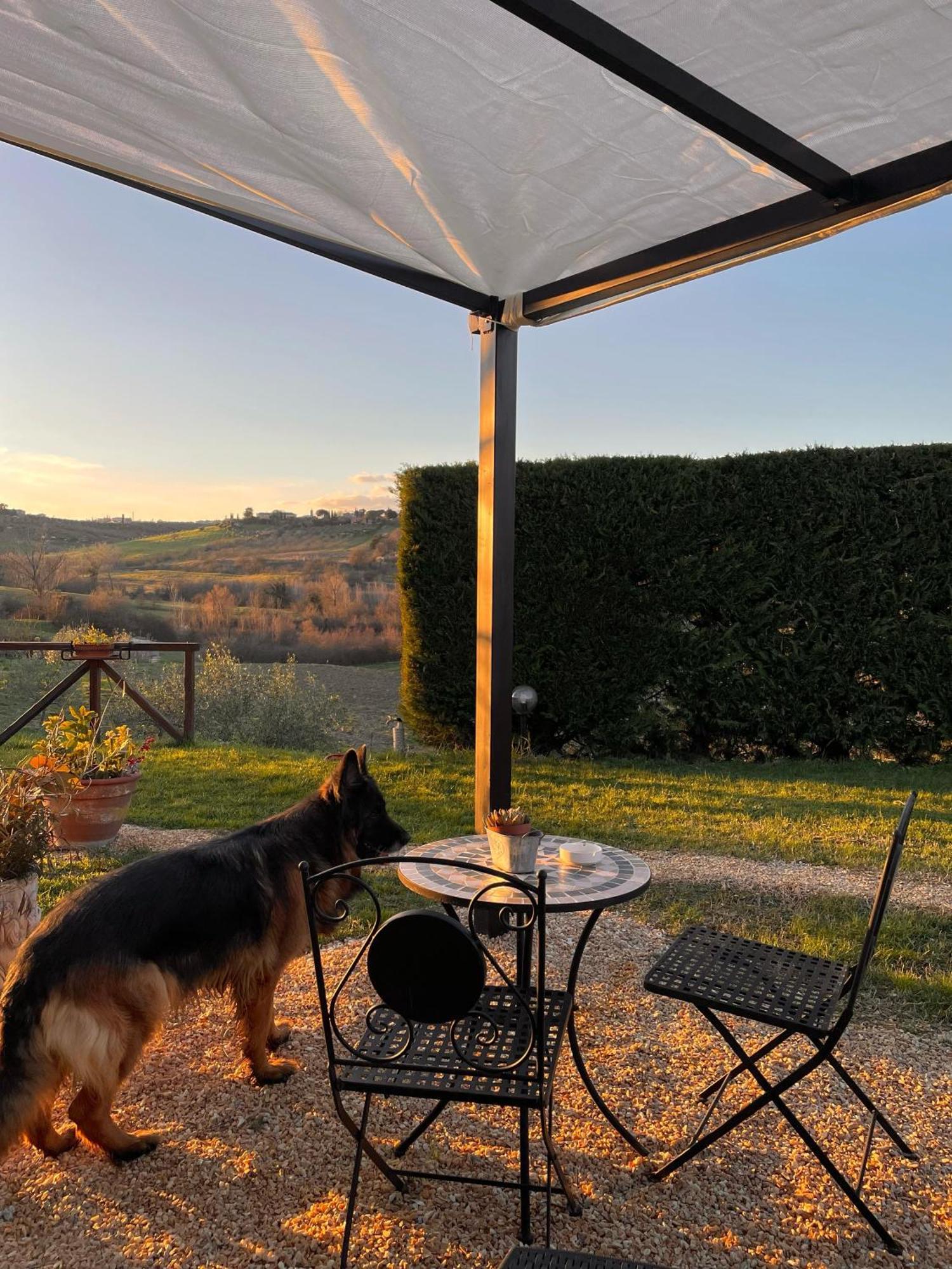 Agriturismo La Corte Del Sole 시에나 외부 사진