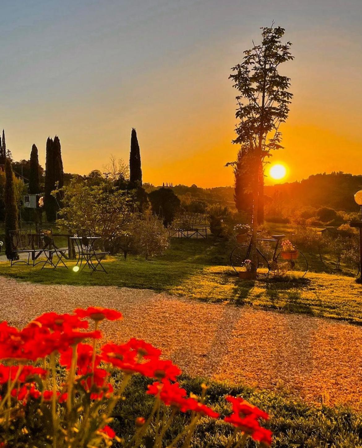 Agriturismo La Corte Del Sole 시에나 외부 사진