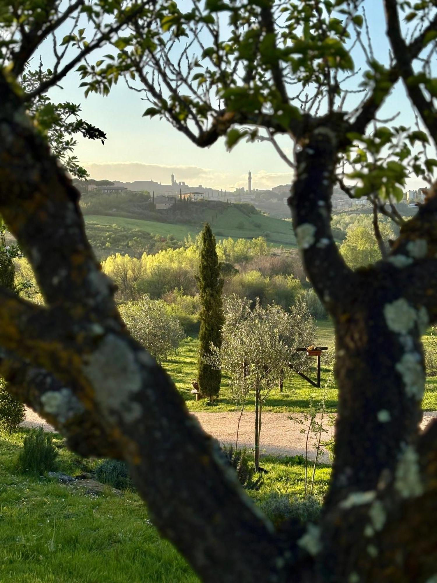 Agriturismo La Corte Del Sole 시에나 외부 사진