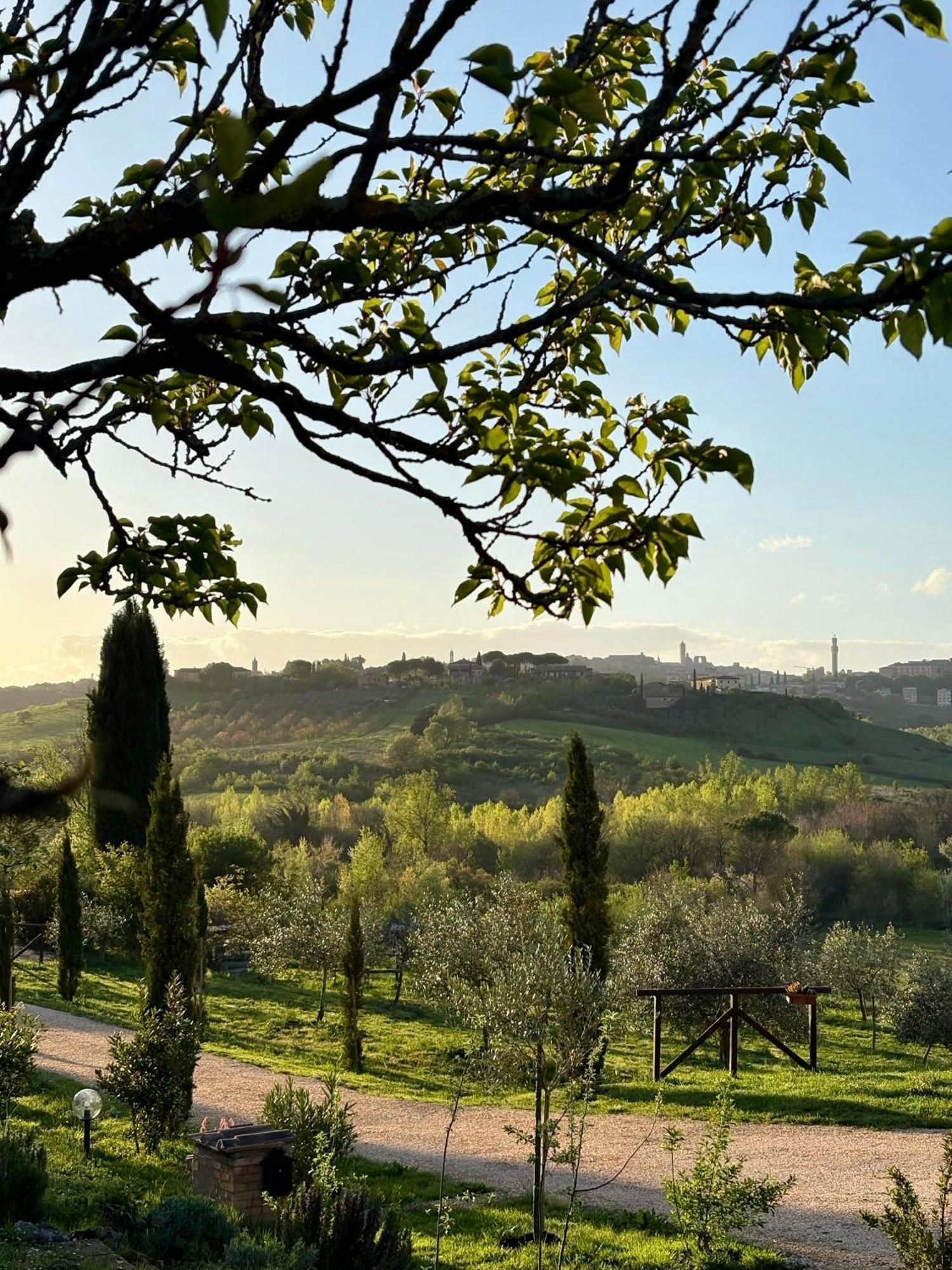 Agriturismo La Corte Del Sole 시에나 외부 사진